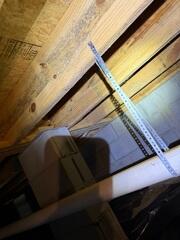 Mold Growth in Large Area