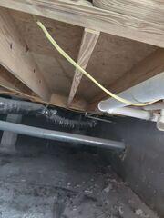 Mold Removed from Floor System