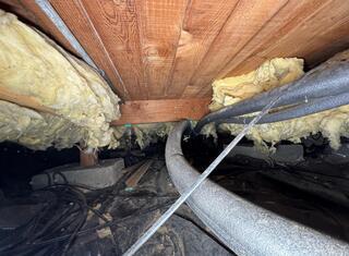 Out with the Old, In with the New - Forest Grove, OR