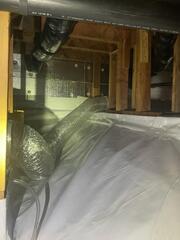 CleanSpace