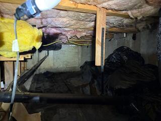 Crawl Space In Need of Help
