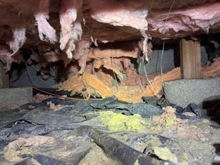 Jaw-Dropping Crawl Space Upgrade - Eugene, OR
