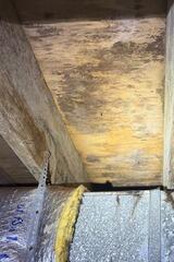 Mold Issues