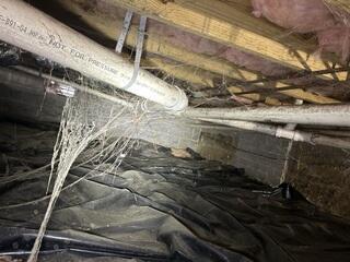 Crawl Space Before