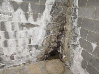 Basement Before