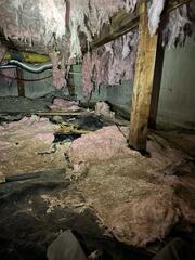 Moldy, Fallen Fiberglass Insulation