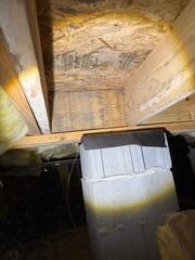 Mold on Wood Floor Joists