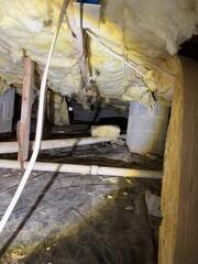 Crawl Space Damage