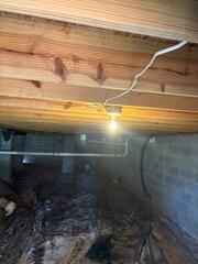 Remove mold with our safe, non-toxic soda blasting treatment