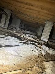 Moisture under your home mixes with dirt, creating an unpleasant environment