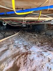 Inspecting the Crawl Space for Moisture Problems in State Road, NC