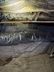 Falling insulation, dirt, and construction materials are creating a haven for moisture, mold, and pests.