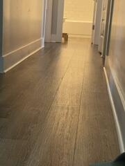 Uneven Floors