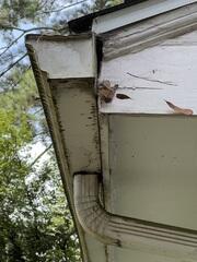 Rotting fascia