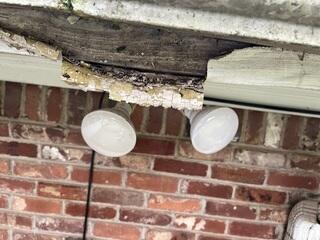 Fascia is rotting away