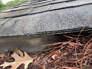 Gutters are clogged