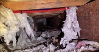 Disastrous Crawl Space