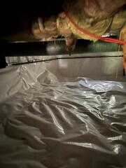 Vapor barrier sealed over floor and wall of crawl space