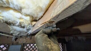 Cracked Floor Joist