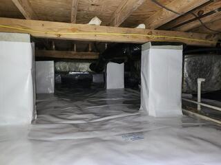 CleanSpace