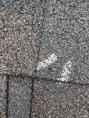 Marking the hail damage
