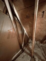 Inspecting the attic