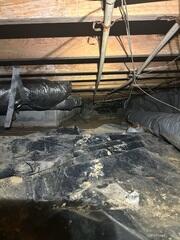 Crawl Space During Inspection