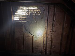 Squeezed Through the Gable Vent