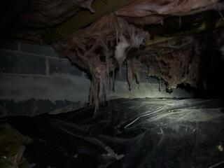 Falling Crawl Space Insulation