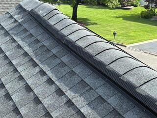 Reinforces the Ridge Vent