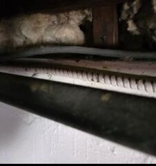 Mice Tunnels in the Basement