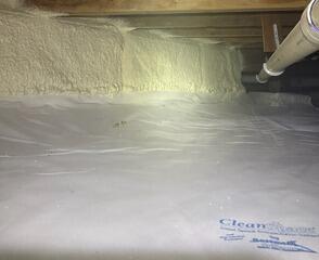 CleanSpace