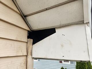 As you can see from the damage and the raccoon paw prints, here's where the raccoon had entered the home. A short while after setting up our devices, we safely retrieved the raccoon and took it too a new, humane location.