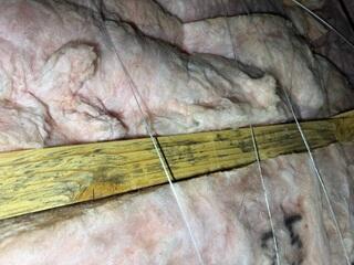 Mold Growth Inside of Crawl Space From Water Intrusion