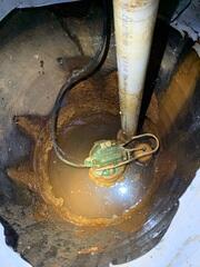 Sump Pump Submerged in Mud