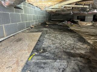 Crawl Space Before