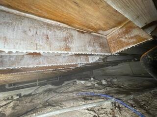 Crawl Space Mildew