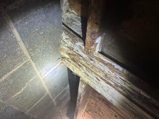 Microbial Growth on Deteriorating Wooden Joists