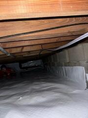 CleanSpace Moisture Barrier