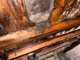 Floor Joist Moisture Damage