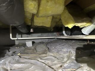 Existing Liner