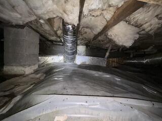 Existing Liner