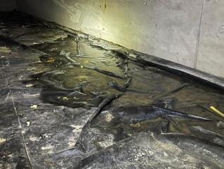 A Soaking Situation in the Crawl Space - Lopez Island, WA