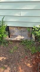 Old Crawl Space Door