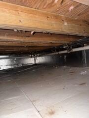 Insulation Addition