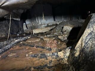 Crawl Space Waterproofing That Doesn't Break The Bank - Salem, OR