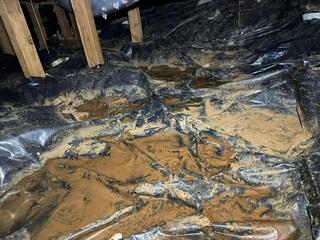 Standing Water Damages Structural Components