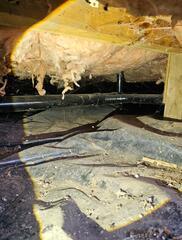 The Gateway to a Better Crawl Space - Gates, OR