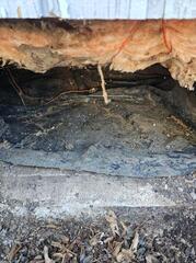 Crawl Space Mess