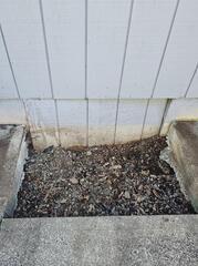 Old Crawl Space Entry Door